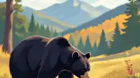 NC Wildlife: Increased Bear Activity in Watauga | Boone